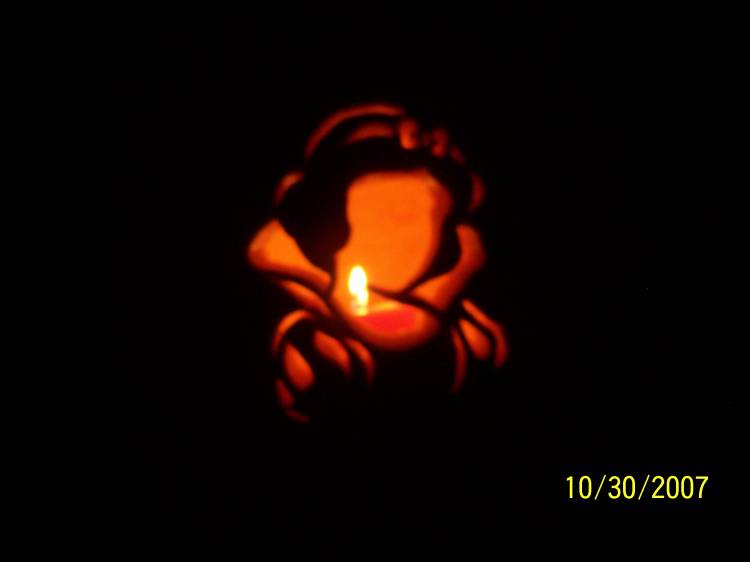 Snow White Pumpkin