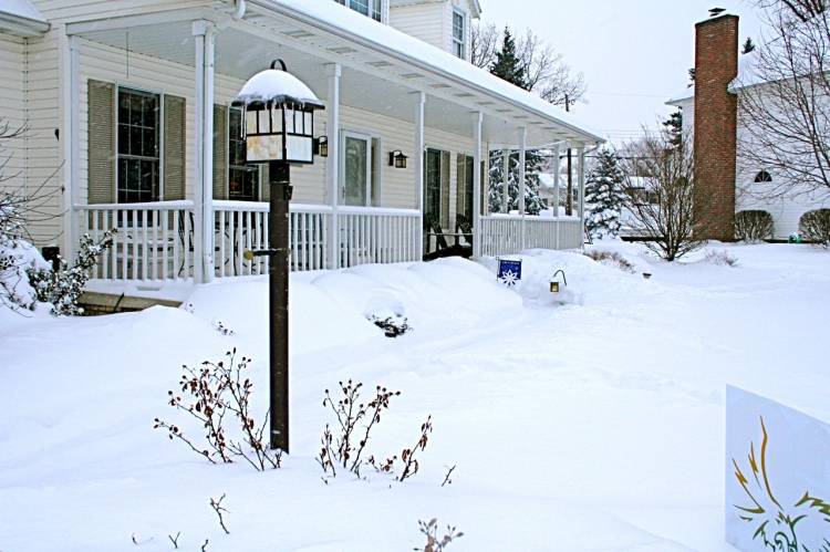 snow1
