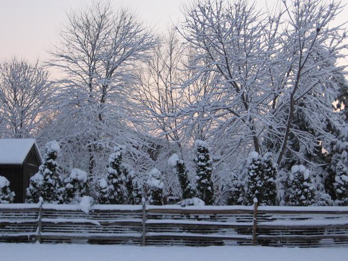 snow1