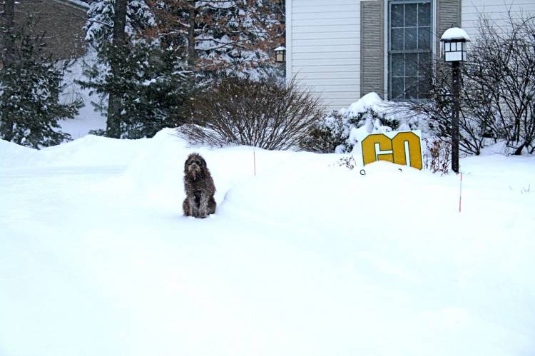 snow2