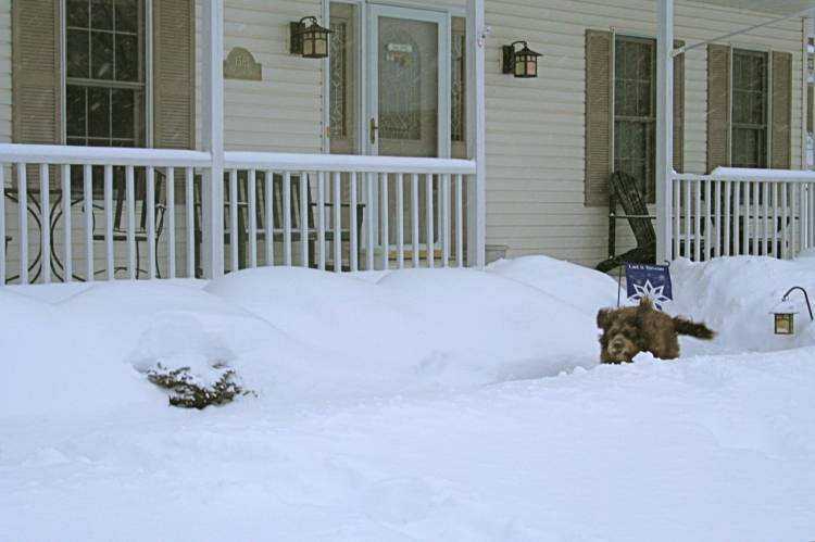 snow41