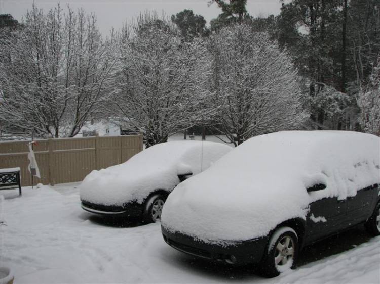 Snowday09a_002_Medium_