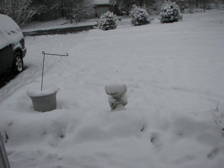Snowday09a_003_Medium_