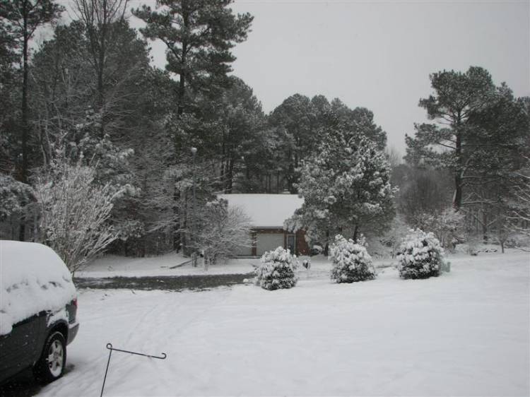 Snowday09a_004_Medium_