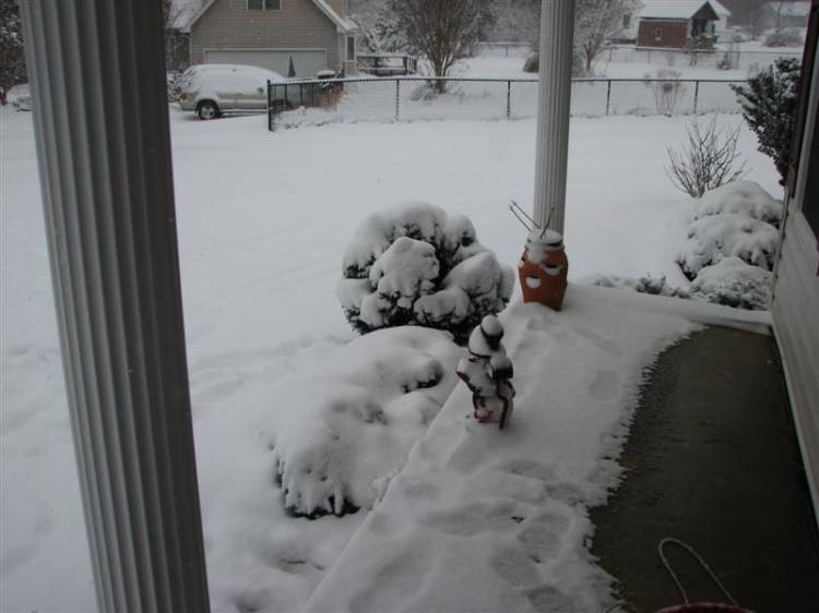 Snowday09a_006_Medium_1