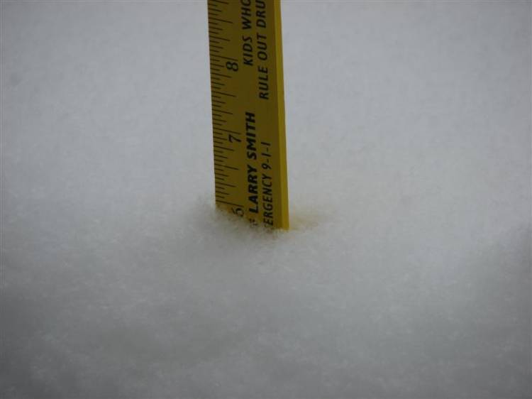 Snowday09a_014_Medium_