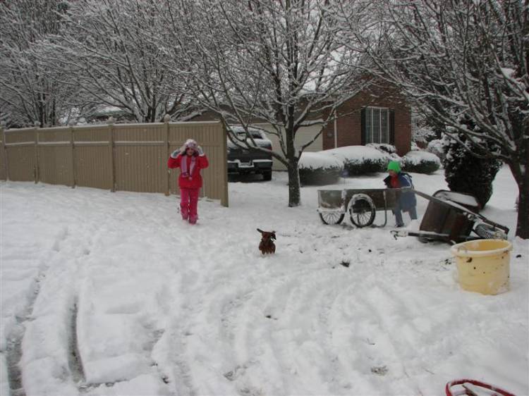 Snowday09b_016_Medium_