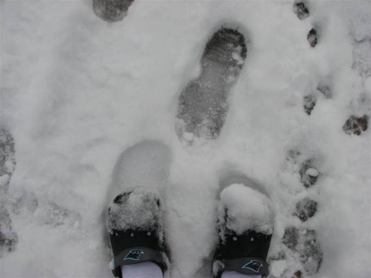 Snowday09b_017_Medium_