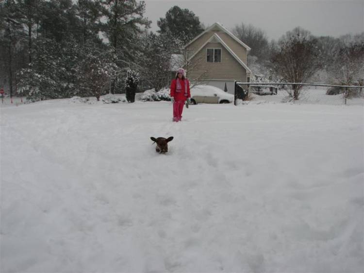 Snowday09b_019_Medium_