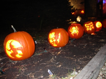 Some pumpkins we carve!