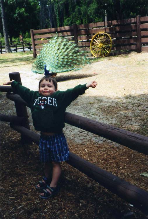 Son with Ft. Wilderness Peacock