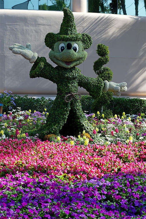 Sorcerer Mickey topiary
