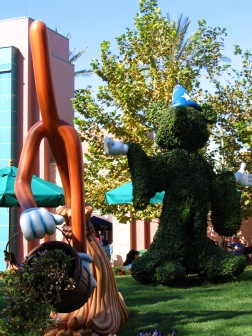 Sorcerer's Apprentice shrubs