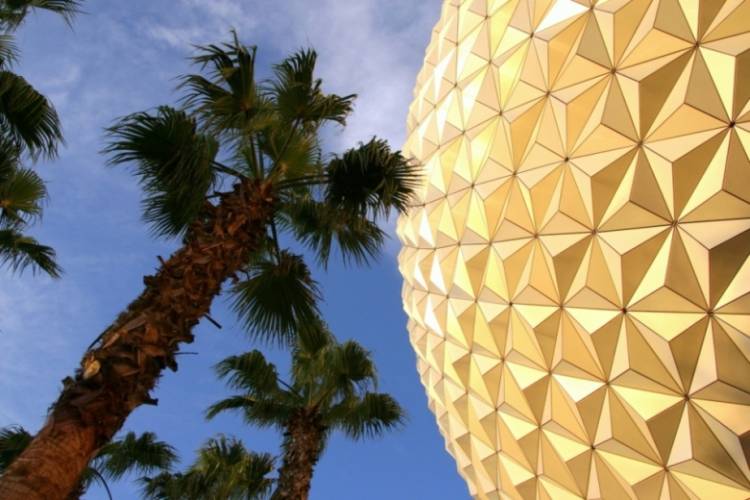 Spaceship Earth and Palm Trees