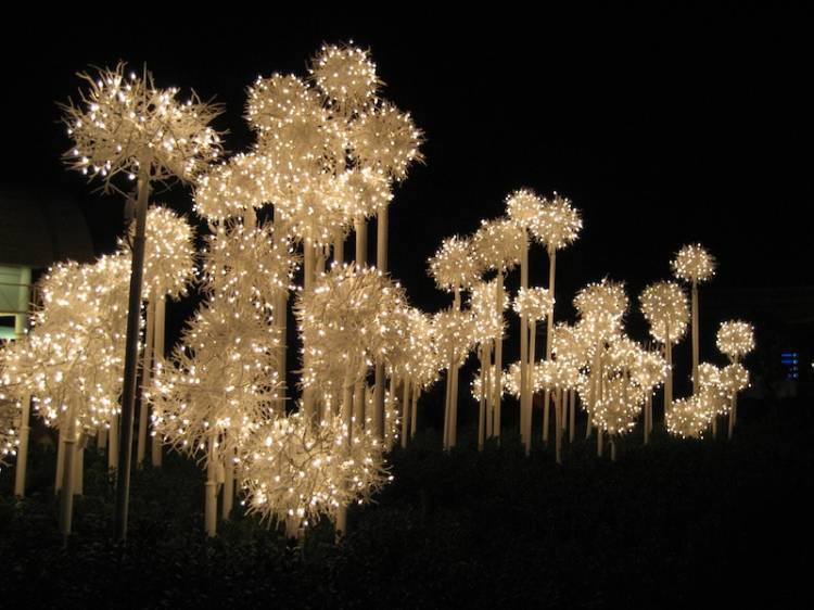 Spectacular lights!