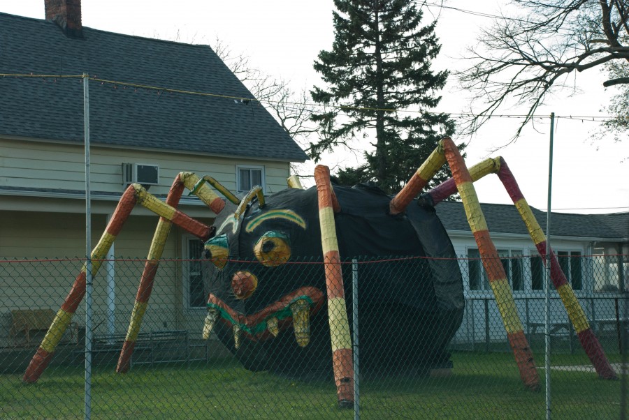 Spider