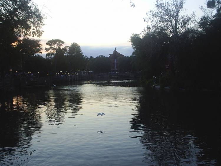 Splash Mountain from afar