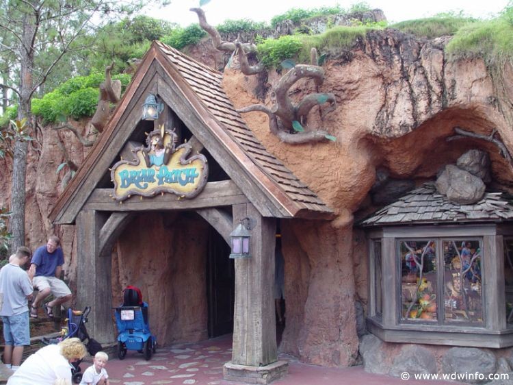 Splash_Mountain_14