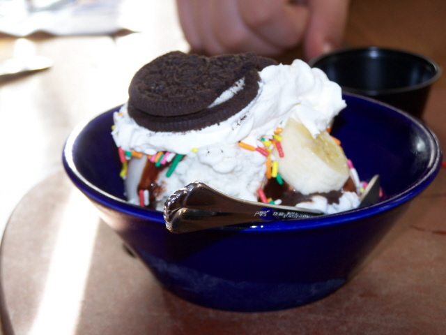 Spoodles_Sundae