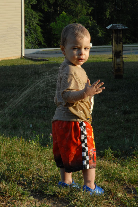 Sprinkler 2