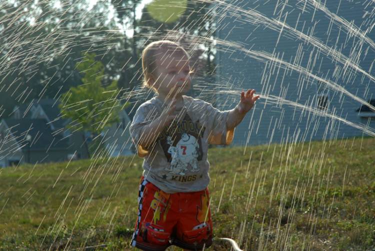 Sprinkler 4