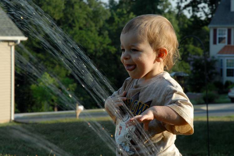 Sprinkler 6