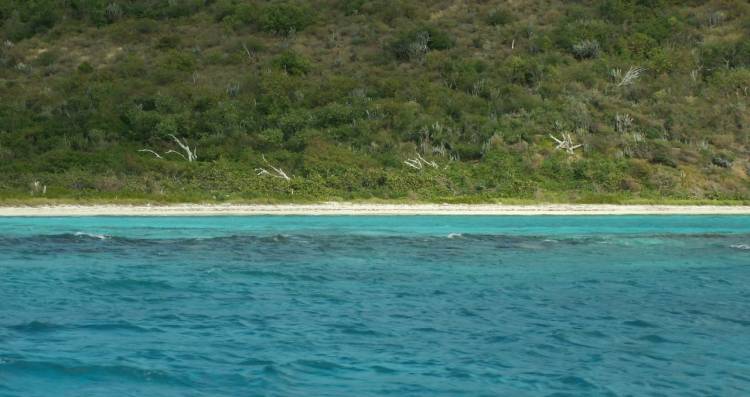 St Croix Buck Island 0