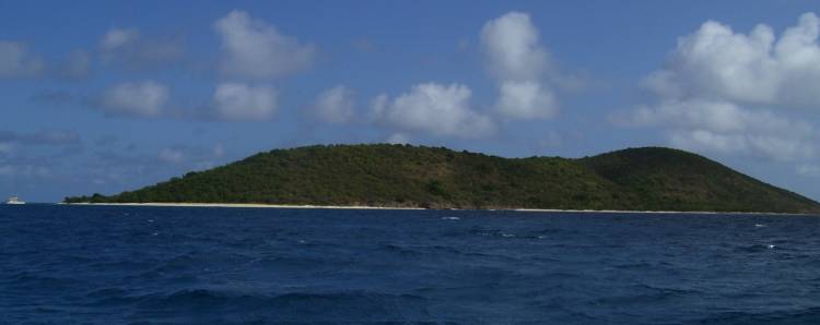 St Croix Buck Island 00