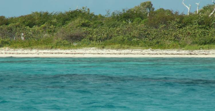St. Croix - Buck Island