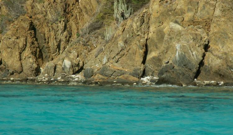 St. Croix - Buck Island