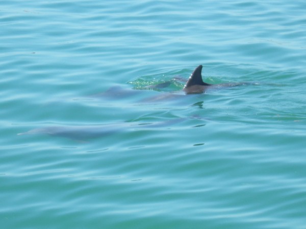 St Pete Beach