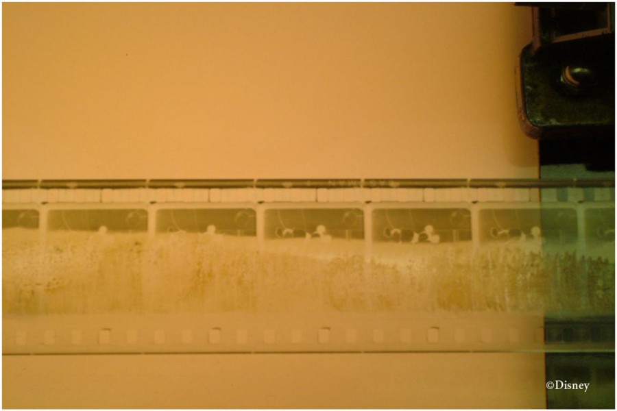 Steamboat Willie Negative