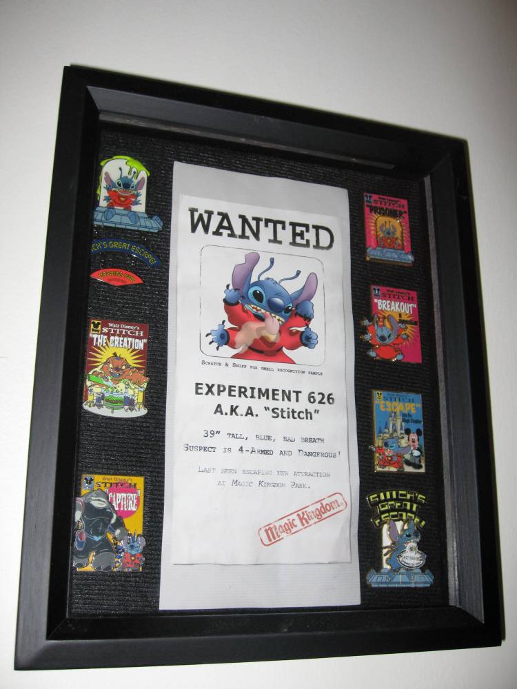 Stitch Wanted Pin Frame