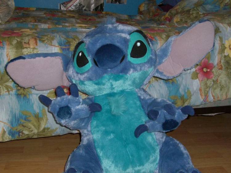 stitch