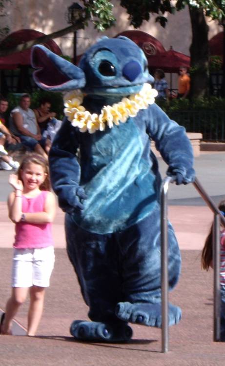 Stitch