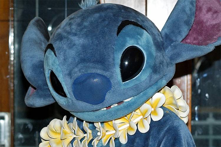 Stitch