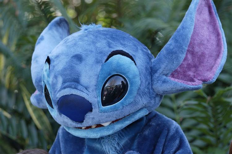 Stitch