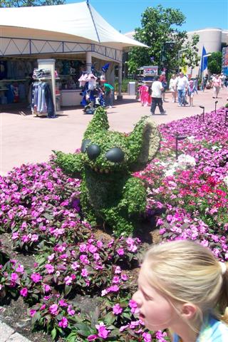 Stitch