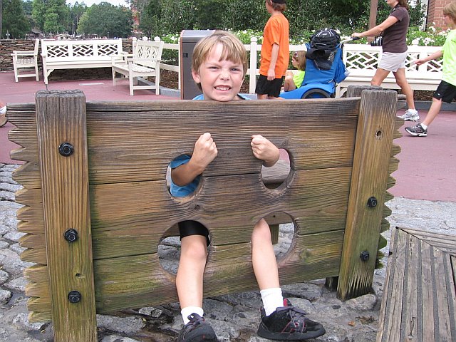Stockades