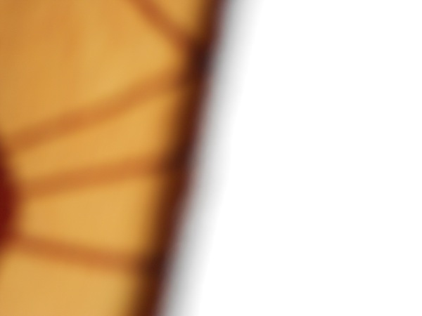 storytellerscafe10