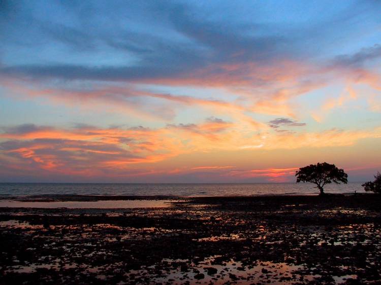 sunset-tree-1024x680