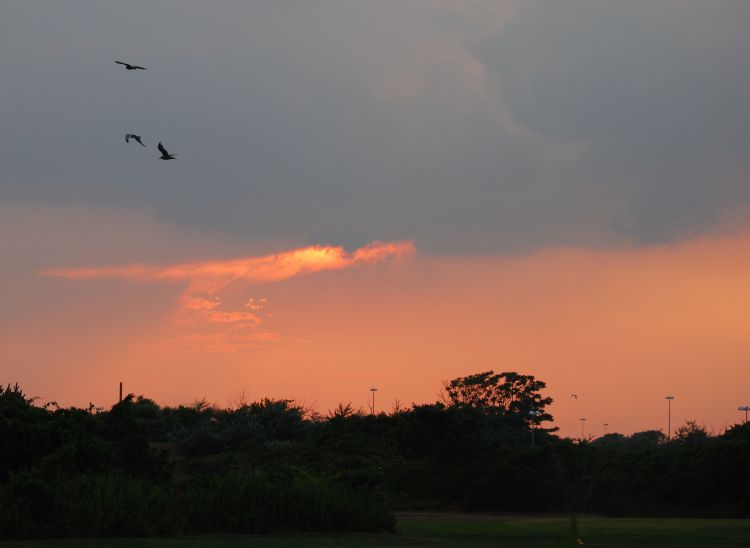 sunset_1