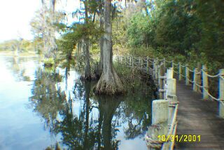 Swamp_Trail_11