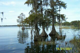 Swamp_Trail_4