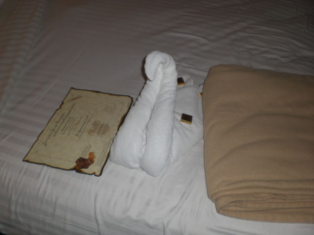 Swan