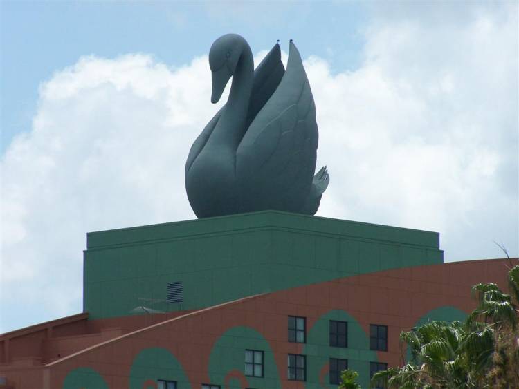 swan1_Large_