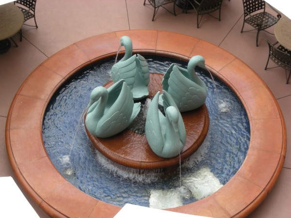 swans_600_x_450_