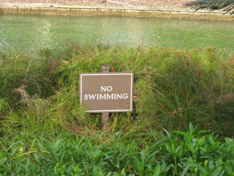 swimming