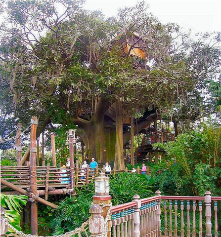 Swiss Family Robinson Treehouse