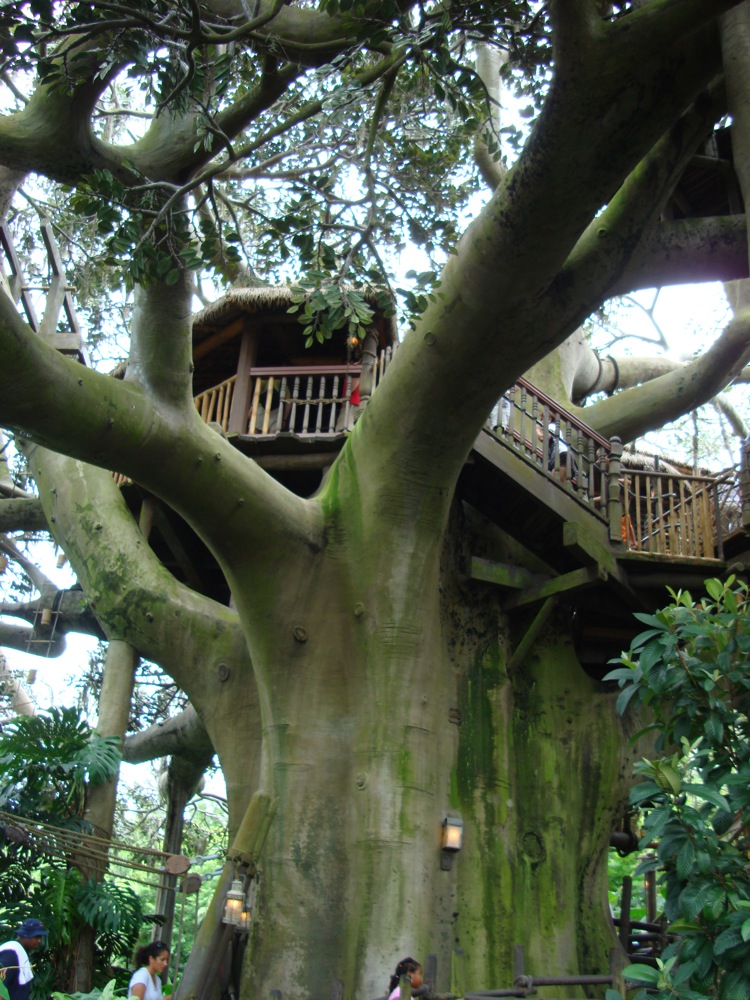 swiss family robinson treehouse